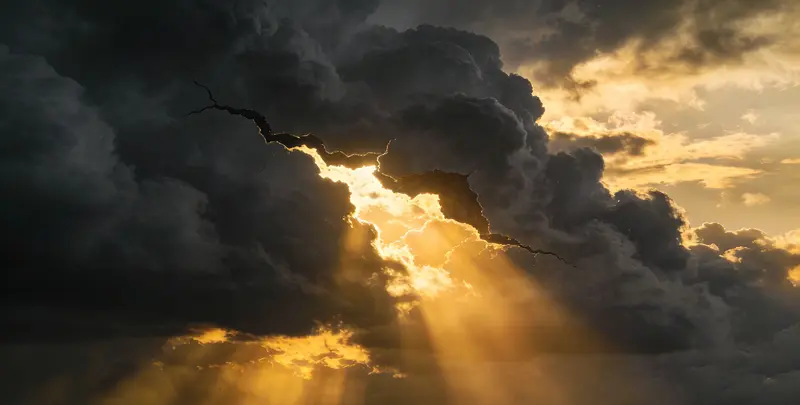 南充肺癌12基因ctDNA突变检测(血液）图片1